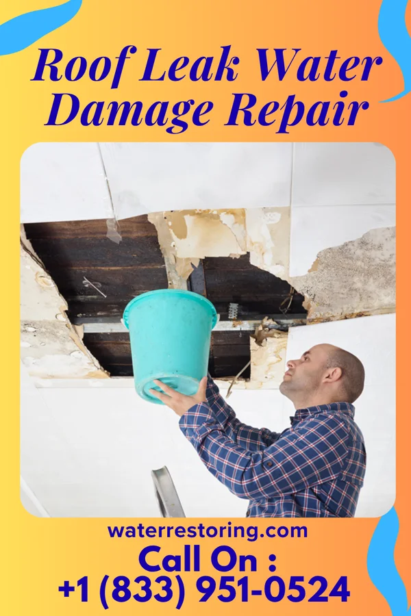 Roof Leak Water Damage Repair in Driscoll, TX